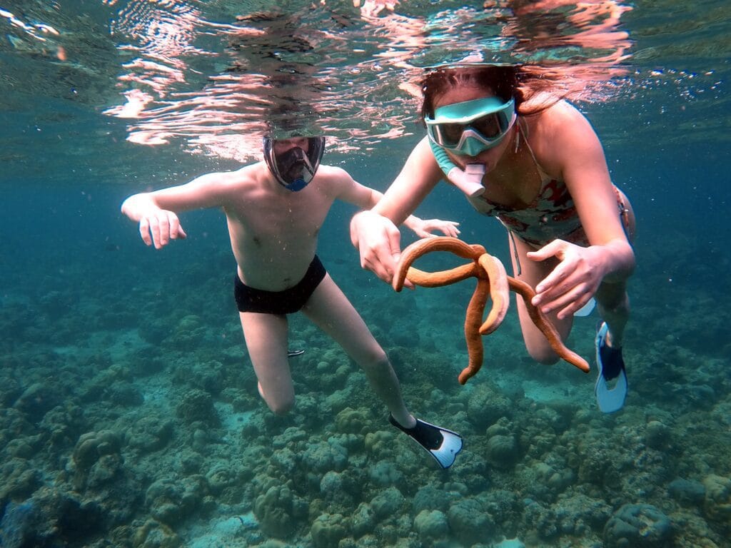 Diving at the Best House in Maldives Sabba Beach Hotels. 