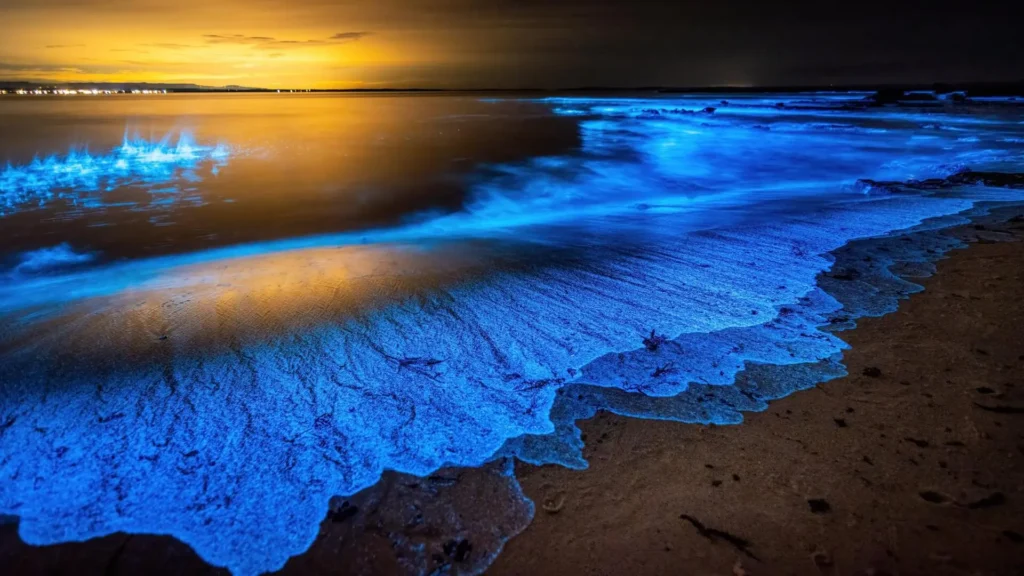 The Sea of Stars phenomenon with glowing bioluminescent plankton at Fodhdhoo Island beach.