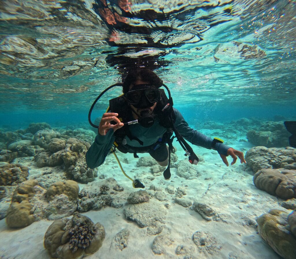 Guest diving into clear waters near Fodhdhoo Island, discovering marine life.