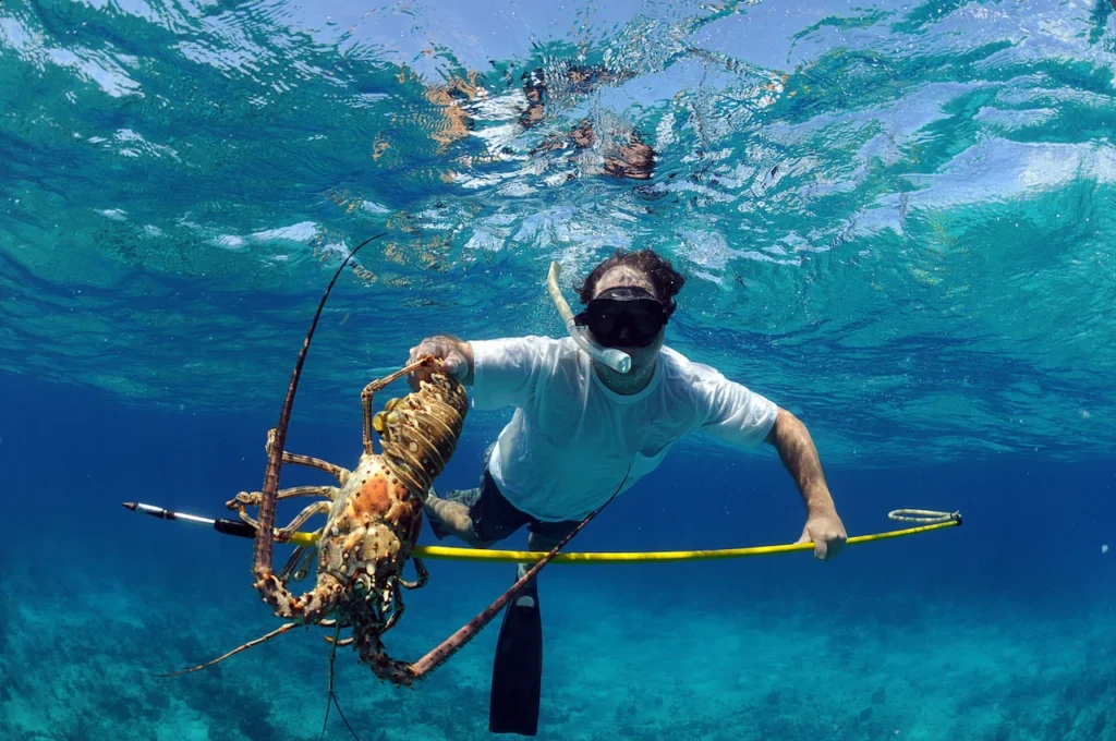 A guest catching a lobster during an exciting local hunting trip, adding adventure to your Maldives island retreat.