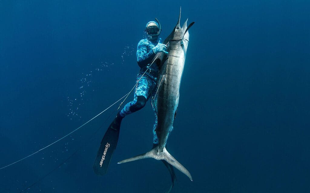 spear fishing at maldives